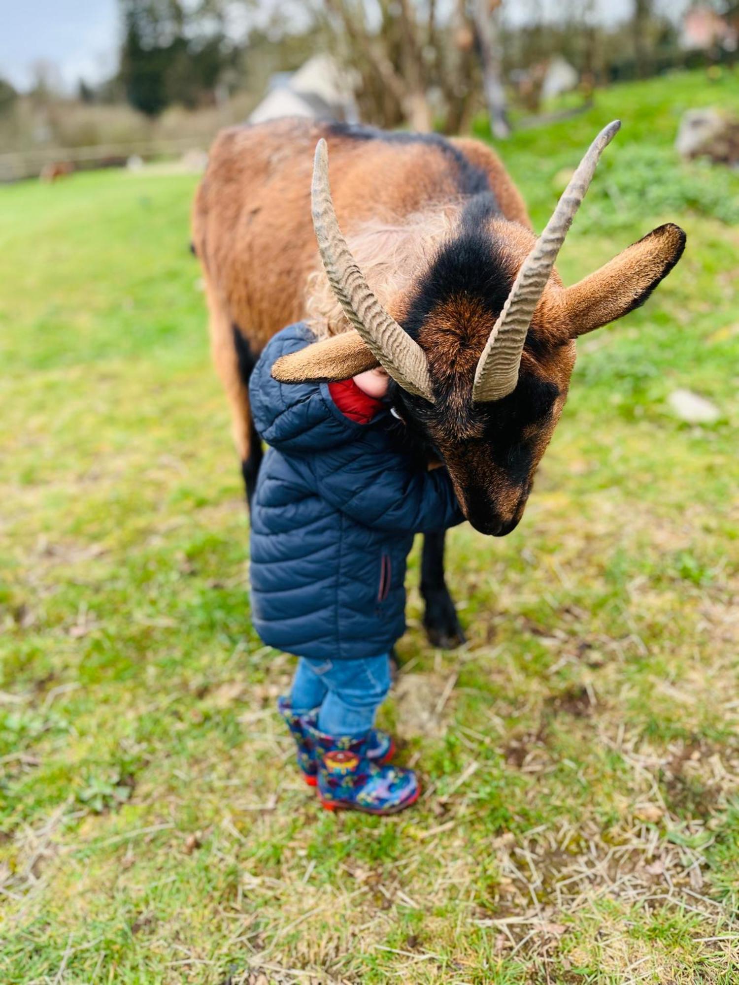 Willa Madelaine Ranch, Nouvelle Piscine 2025 Le Gast Zewnętrze zdjęcie